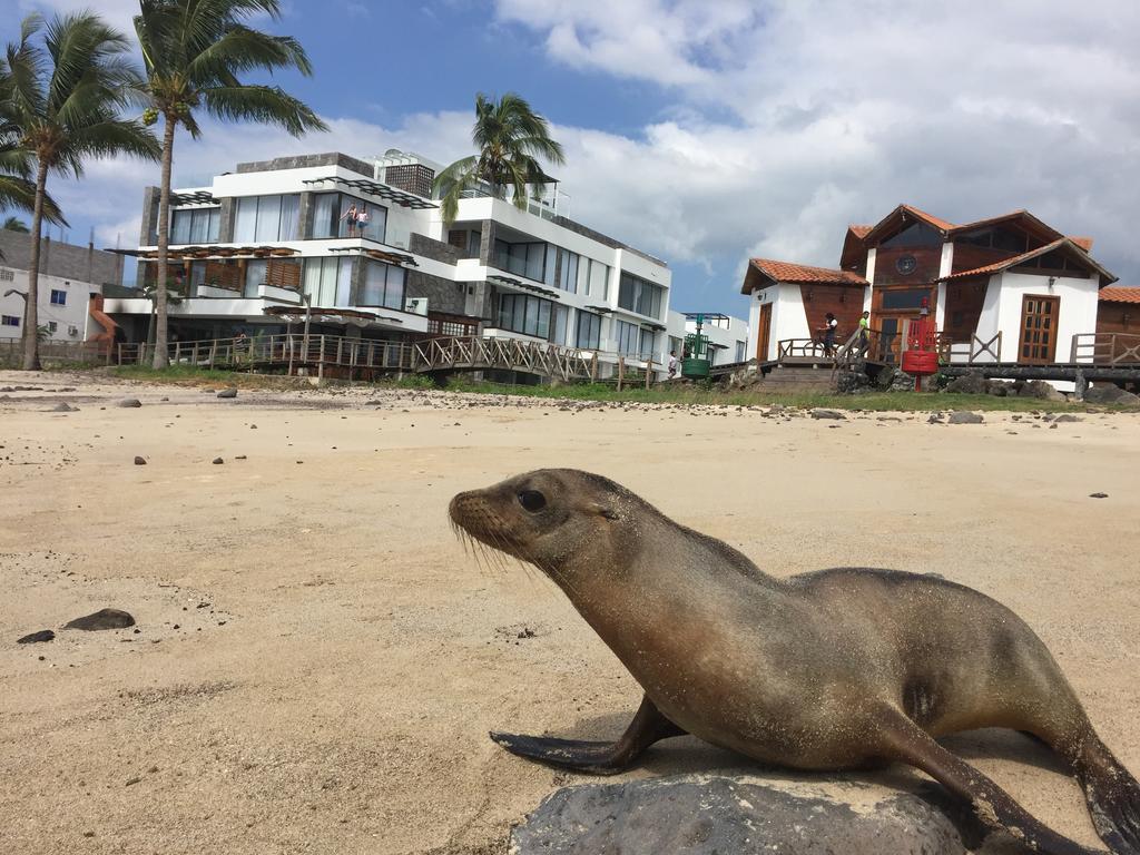Hotel Golden Bay Galapagos Puerto Baquerizo Moreno Zewnętrze zdjęcie